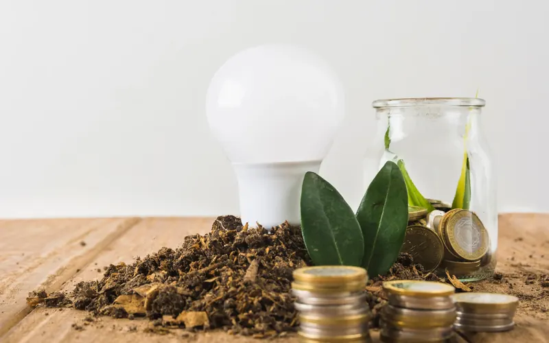 Lâmpada, planta e moedas sobre uma mesa de madeira, representando economia de energia
